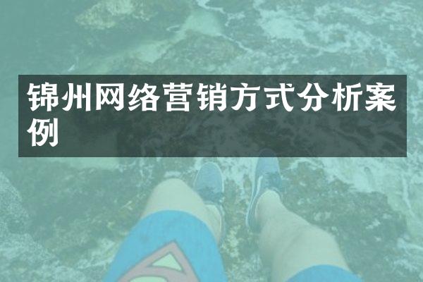 锦州网络营销方式分析案例