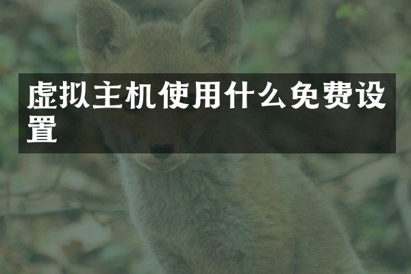 虚拟主机使用什么免费设置