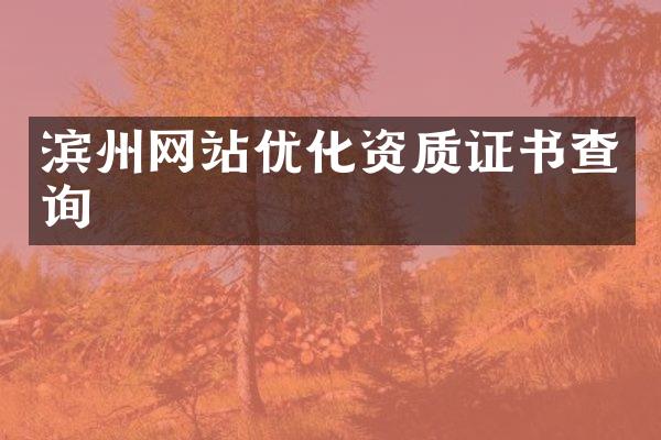 滨州网站优化资质证书查询