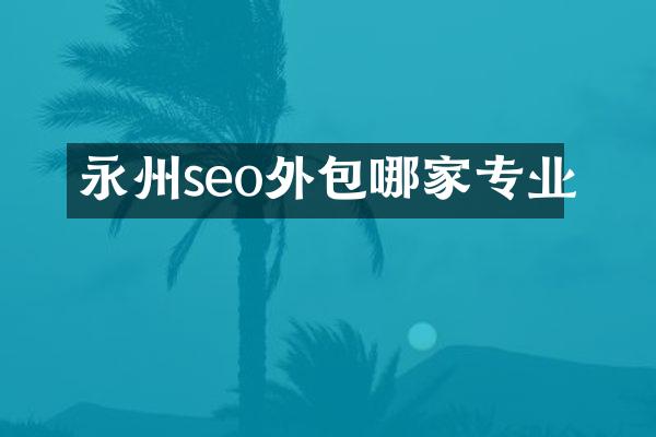 永州seo外包哪家专业