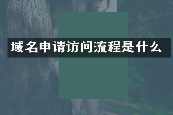 域名申请访问流程是什么