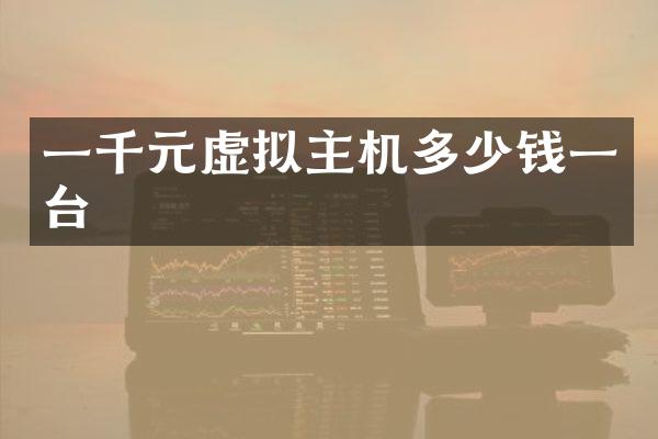一千元虚拟主机多少钱一台