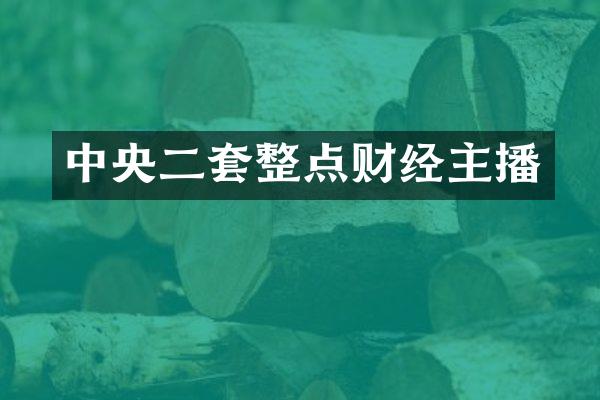 中央二套整点财经主播