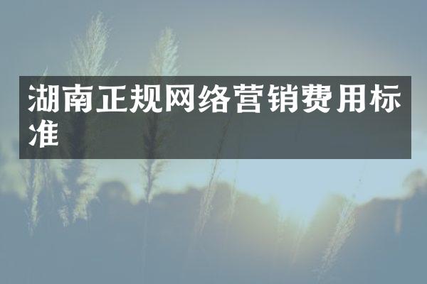 湖南正规网络营销费用标准