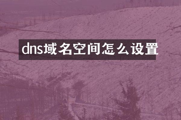dns域名空间怎么设置