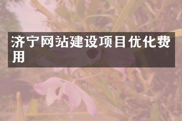 济宁网站建设项目优化费用