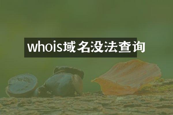 whois域名没法查询