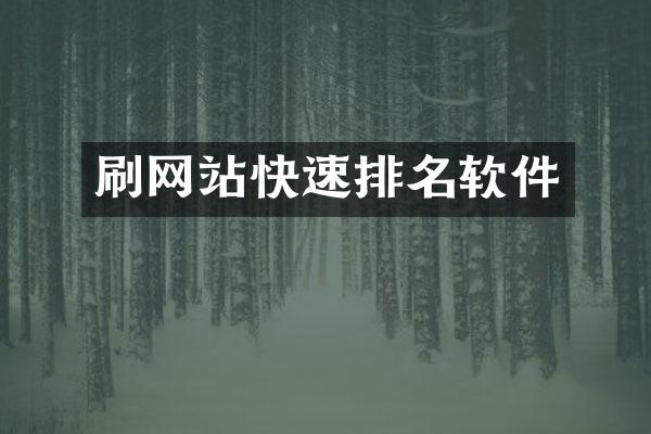 刷网站快速排名软件