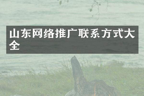 山东网络推广联系方式大全