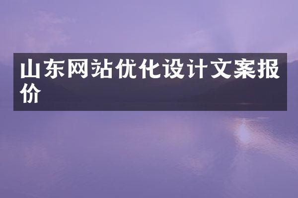 山东网站优化设计文案报价