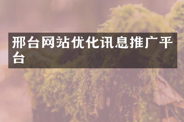 邢台网站优化讯息推广平台