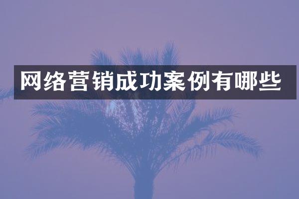 网络营销成功案例有哪些