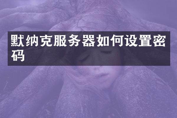 默纳克服务器如何设置密码