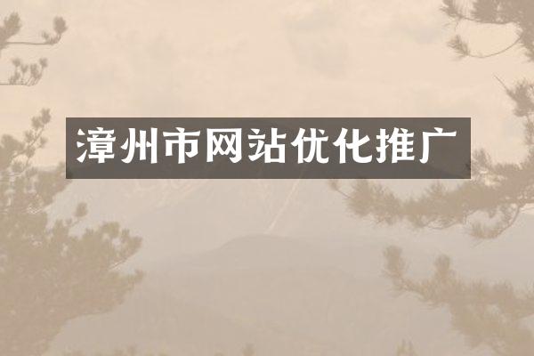 漳州市网站优化推广