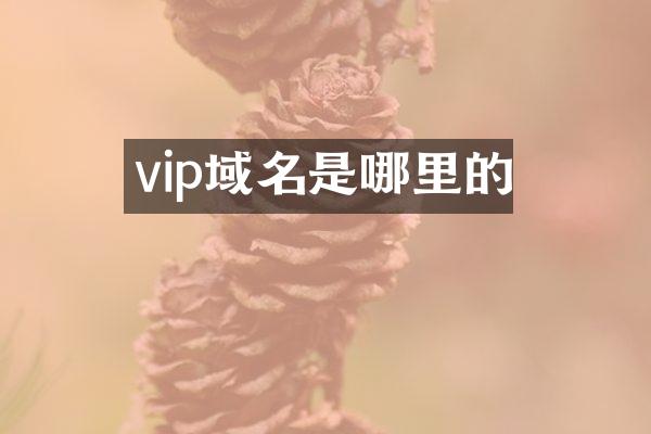 vip域名是哪里的