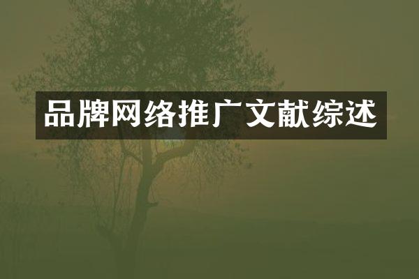 品牌网络推广文献综述