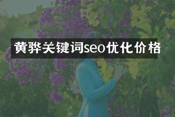 黄骅关键词seo优化价格