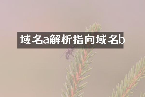 域名a解析指向域名b