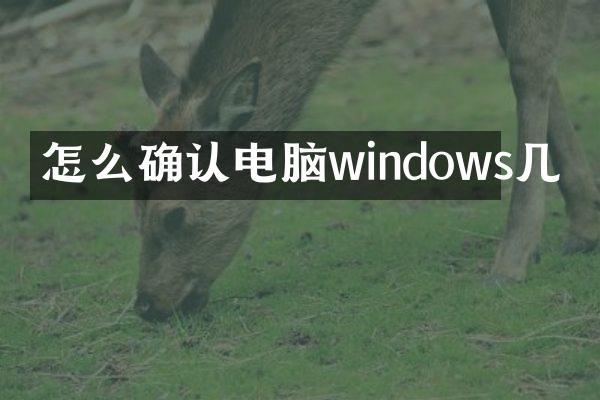 怎么确认电脑windows几
