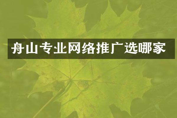 舟山专业网络推广选哪家