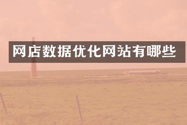 网店数据优化网站有哪些