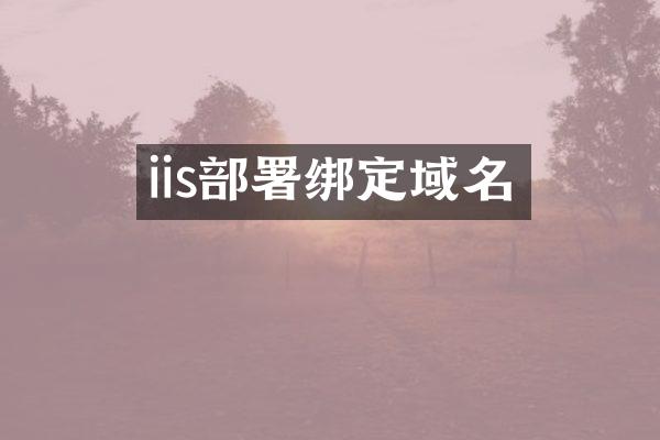 iis部署绑定域名