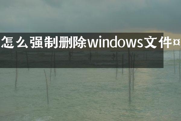 怎么强制删除windows文件夹