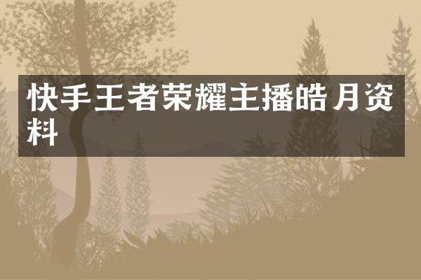 快手王者荣耀主播皓月资料