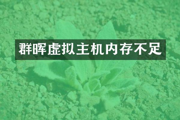 群晖虚拟主机内存不足