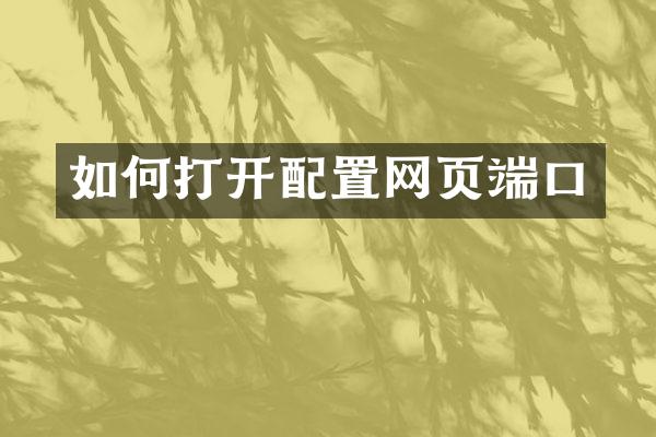 如何打开配置网页端口