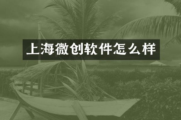 上海微创软件怎么样