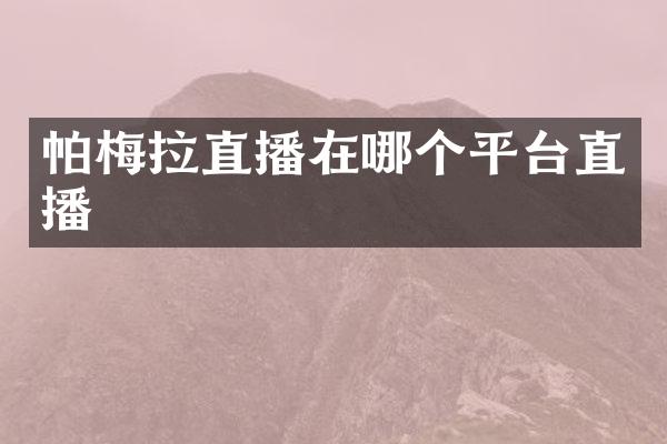 帕梅拉直播在哪个平台直播