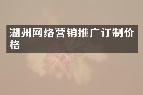 湖州网络营销推广订制价格