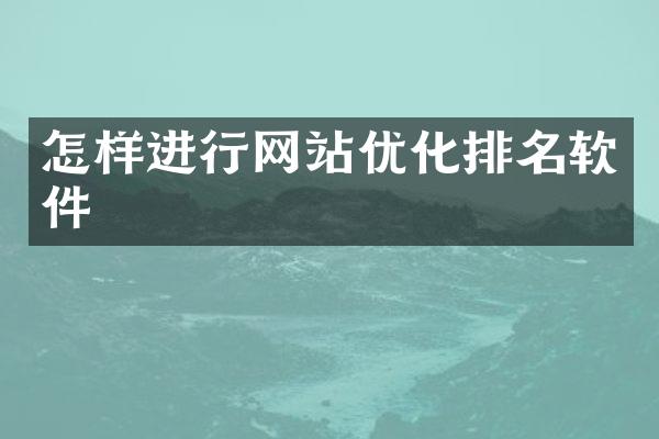 怎样进行网站优化排名软件
