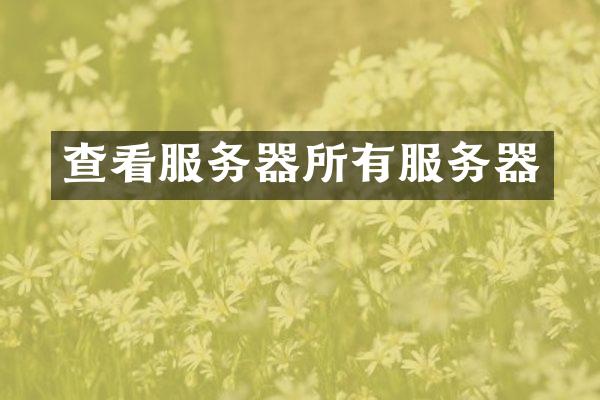 查看服务器所有服务器