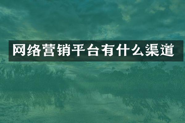网络营销平台有什么渠道