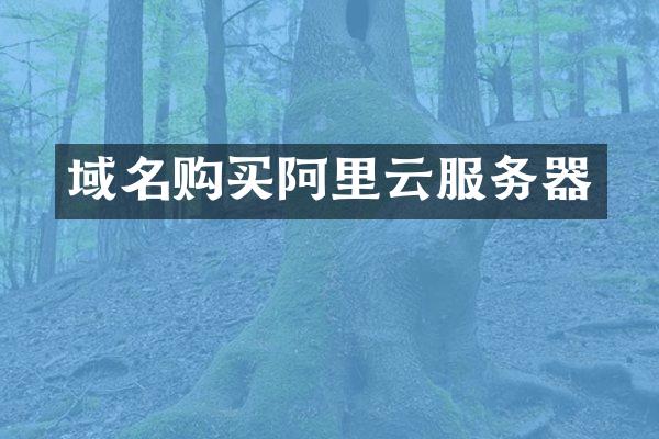域名购买阿里云服务器