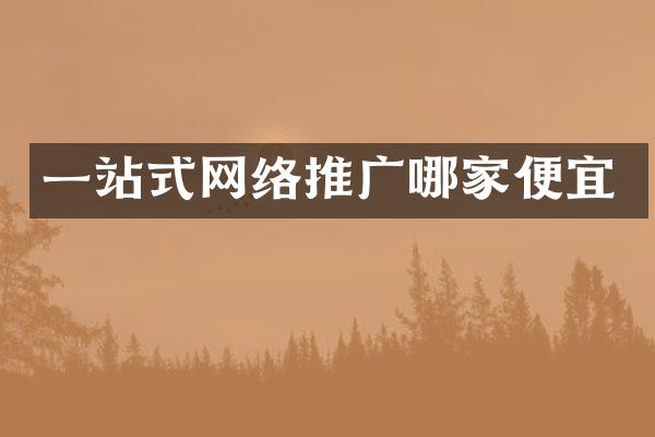 一站式网络推广哪家便宜