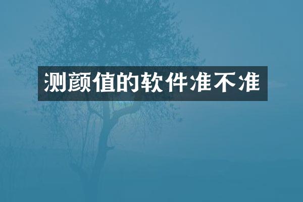 测颜值的软件准不准