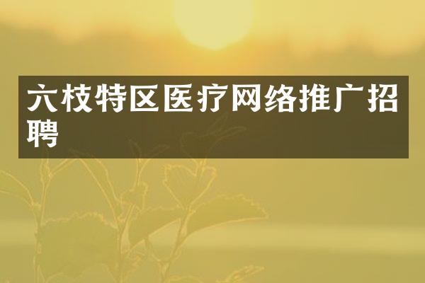 六枝特区医疗网络推广招聘