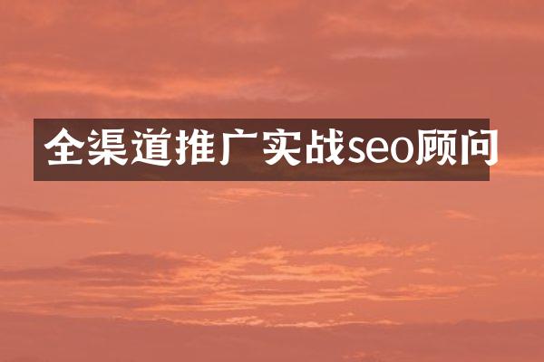 全渠道推广实战seo顾问