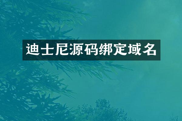 迪士尼源码绑定域名