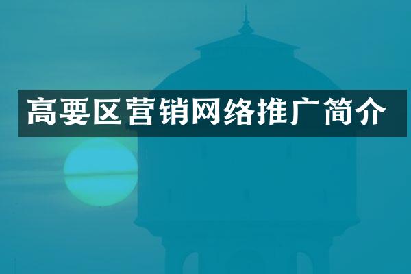 高要区营销网络推广简介