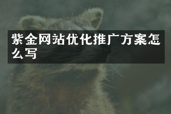 紫金网站优化推广方案怎么写