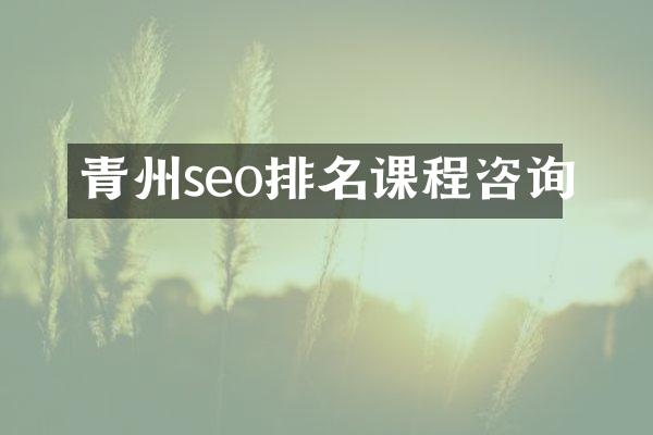 青州seo排名课程咨询