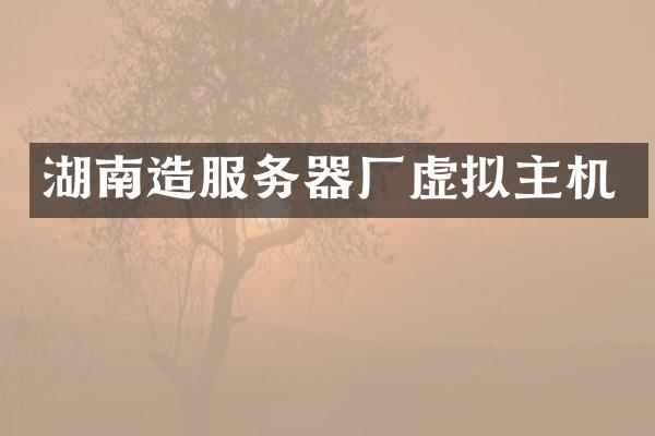 湖南造服务器厂虚拟主机