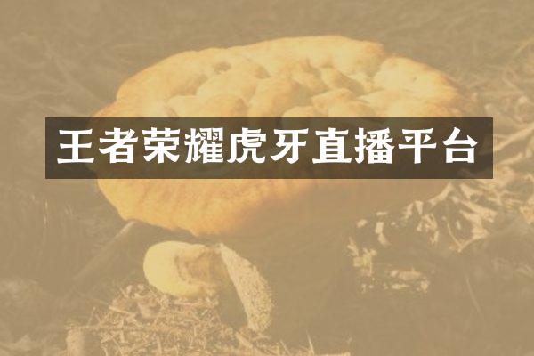 王者荣耀虎牙直播平台