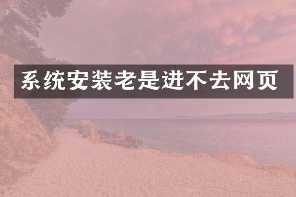 系统安装老是进不去网页