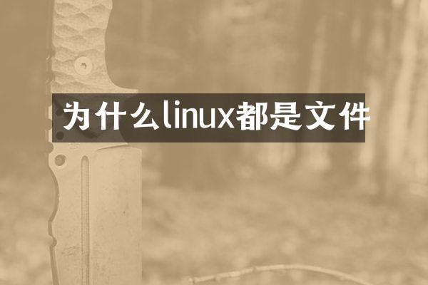 为什么linux都是文件