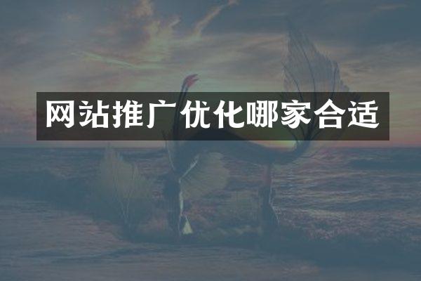 网站推广优化哪家合适